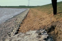Erosie buitentalud (bronn:https://beeldbank.rws.nl, Rijkswaterstaat / Hans Sprangers)